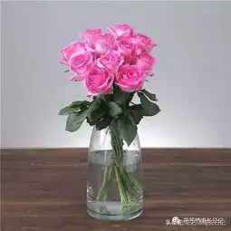苏醒玫瑰初恋花,少女白净面庞上醉人的红晕,像极了爱情