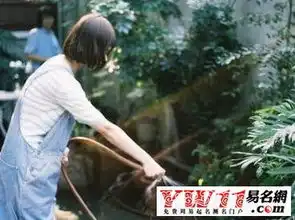 非常霸气的qq昵称女生