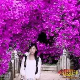 it界奇迹代码女神清新脱俗远超娱乐圈女星图片7游侠图库