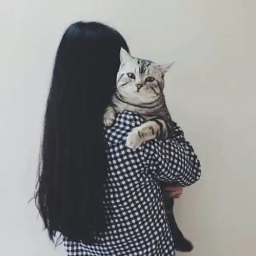求情头男图