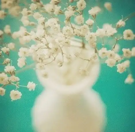 产后吃苹果有什么好处