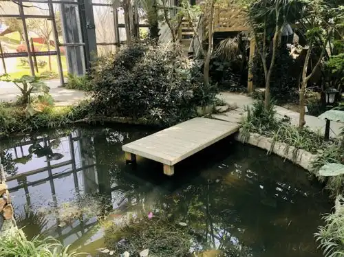 淑女公主浪漫营穿越古风瑜伽修体t台走秀礼仪交际闺蜜私语,做一个知淑达礼的小美女