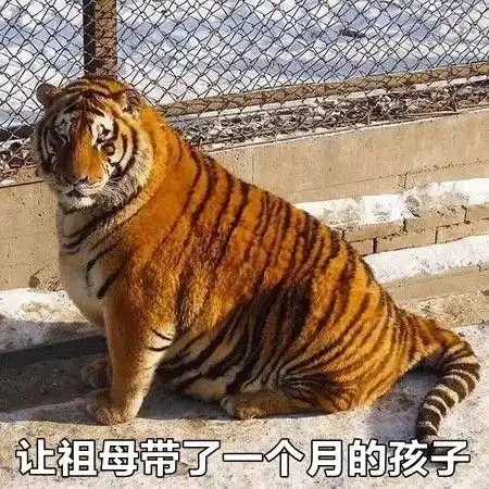 爸妈养宠物突破多少底线儿子爸,这是猫屎,不可能是你拉的