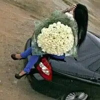 玫瑰美女头像花语的浪漫