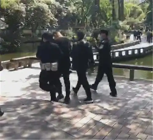 重庆大渡口公园明星莽子鱼被吃四人被拘