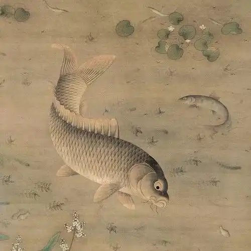 锦鲤是如何成为幸运代表的