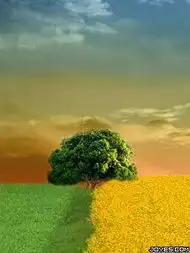 ........