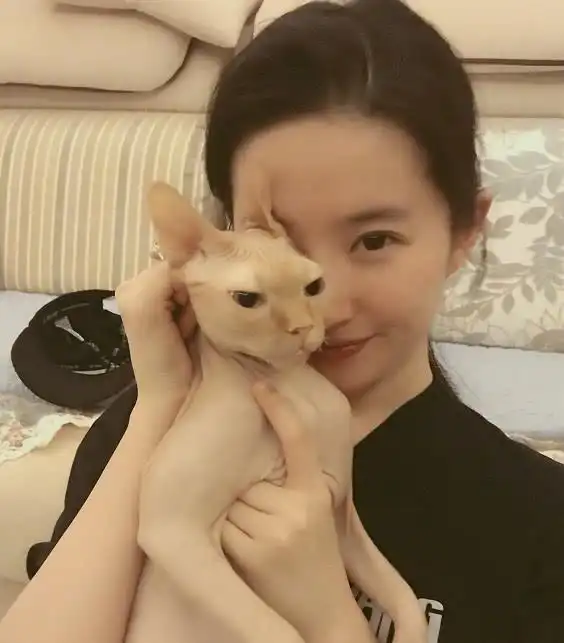 朗朗刘亦菲上热搜,父亲曾直言女演员配不上他,刘亦菲早已回应