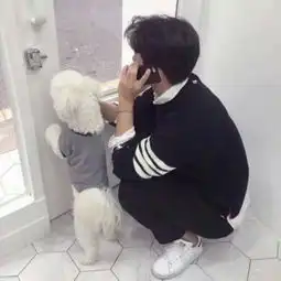 动物男头我们把世界看错,反说它欺qq男生头像我要个性网