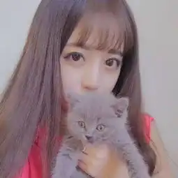 最新气质美女和萌猫咪头像大全小清新女生手抱动物头像2018