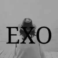 exo女生头像背影2015你们是会发光的exo