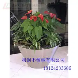 上海不锈钢花盆外地包邮哪家好,