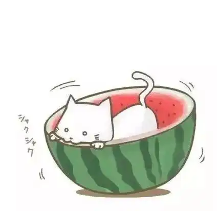这个炎夏,遇见你,透心凉