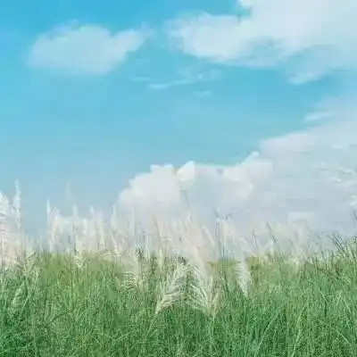 朋友圈背景图看到第1张就想换上