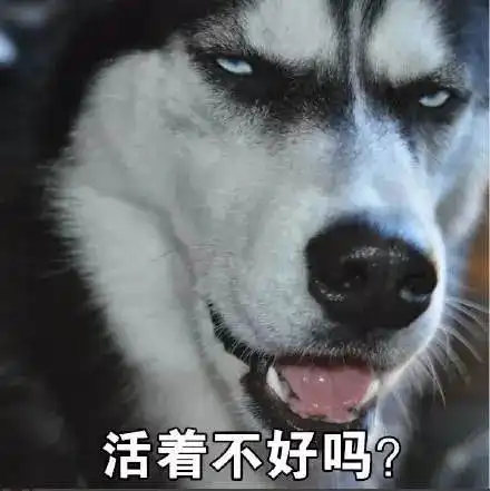 盘点这周活跃在维修工程师圈子里的段子们有你不知道的吗轻松一刻