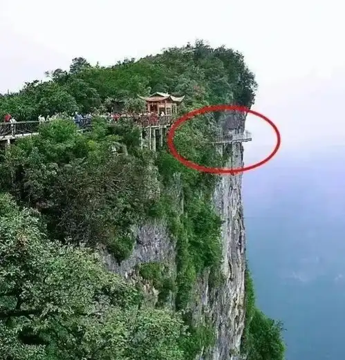 突发河南一男子驾车疯狂撞击路人,现场惨不忍睹,更多细节曝光