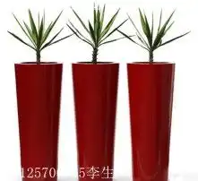 黄页88高清图片