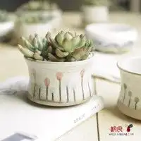萌
