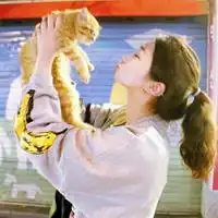女生头像大全带动物微信头像图片大全