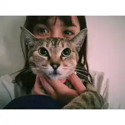我和我的猫都很想你,我没有猫,也没有你