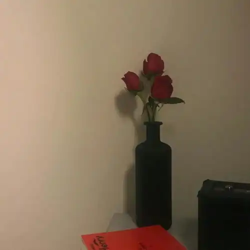 怎会舍得拒绝一朵自己喜欢的花背景图