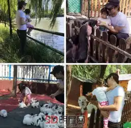 汪峰上热搜啦与章子怡带女游迪士尼