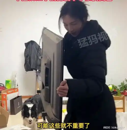 职业秩序重构加速95后美女大学生收破烂引发热议