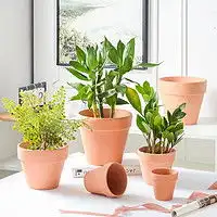 最新全部精选天猫精选鲜花园艺优惠信息大全