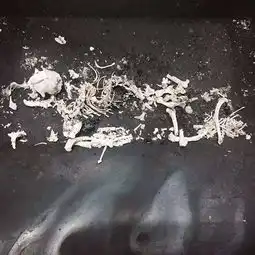 图长宁区动物殡葬服务北新泾小狗火葬地址天山西路宠物火化电话上海宠物服务