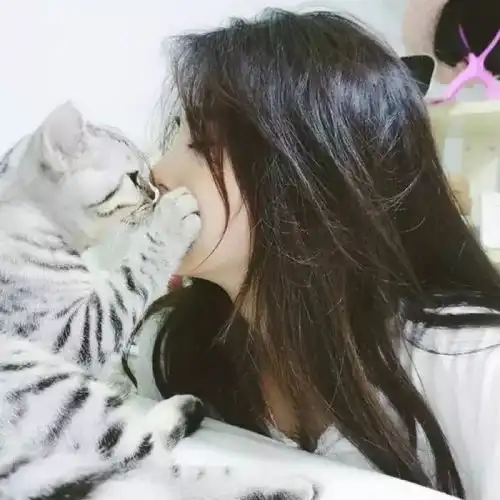 头像可惜我只是你的故人不是你故事里的人