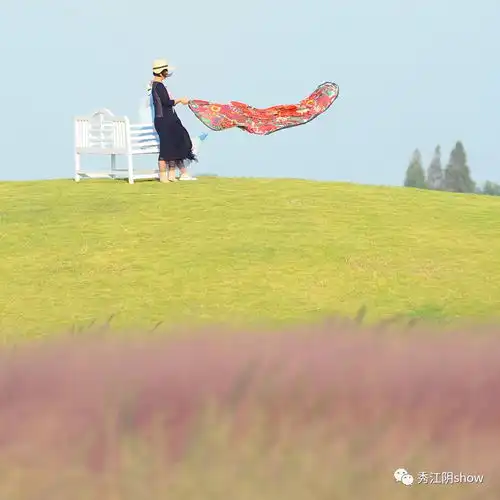 江阴也有网红粉黛乱子草啦赶紧去这里满足你的少女心吧
