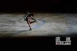 中国杯花滑赛表演赛女选手似天鹅