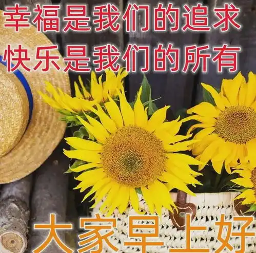 早安清晨的第一缕阳光和第一声鸣叫,如何为你送上温暖与快乐