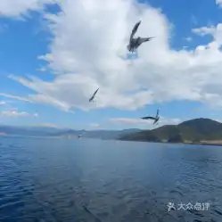 电话,地址,价格,营业时间泸沽湖周边游