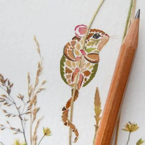 唯美到极致,英国美女艺术家用花草树叶压花制作插画,每一幅都好治愈