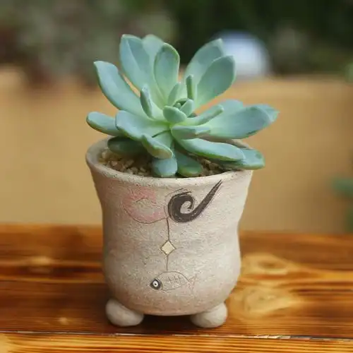 植物大赏活动义工招募