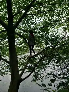 她怎么敢爬树啊能看出是个怎样的女人啊