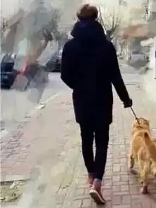 求一张手绘的图片,内容是一个男的牵着一条狗的背影跟我发的差不多但是是手绘能做微信头像的