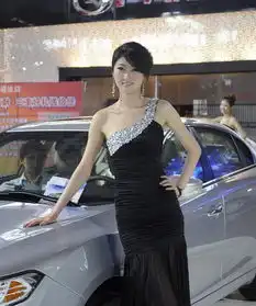 性感狂野清纯带您看沈阳历届车展美女