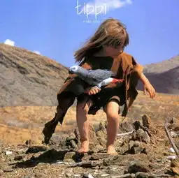 tippidegre在非洲