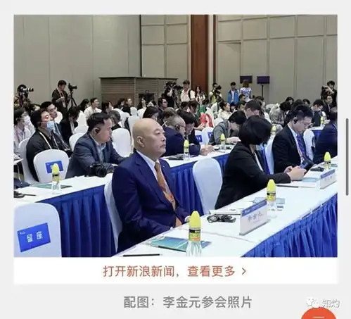 美女波神担任院长国际经济战略研究院,到底是个什么机构