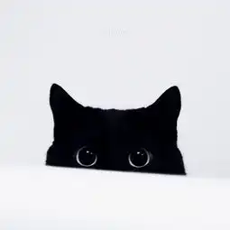 急寻一张小黑猫大图,附小图如下以前做qq头像现在找不到了谢谢