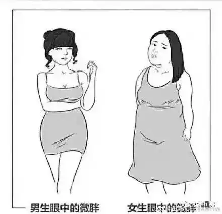 千万别相信男生说什么喜欢微胖的女孩