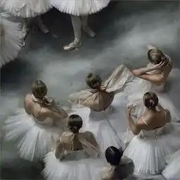 舞动的精灵摄影师markolich