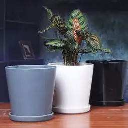 花瓶花器花盆花架