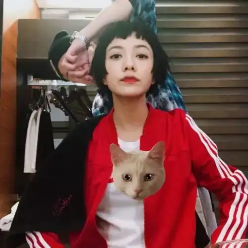 小个子女生,靠发型增高是怎么办到的