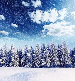等候,一场雪舞的缤纷