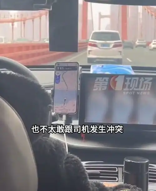 女子坐网约车,司机全程放不雅视频,网友难怪都支持无人驾驶车