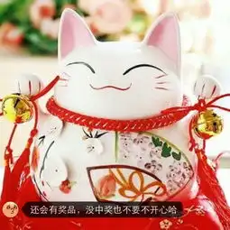爱生活的边边的美拍