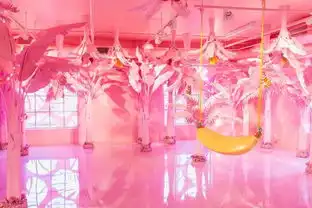 美兰迪melody迈阿密一场盛世欢跃下的孤独